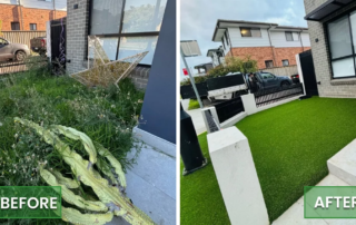 Durable Artificial Turf Installation in Bardia