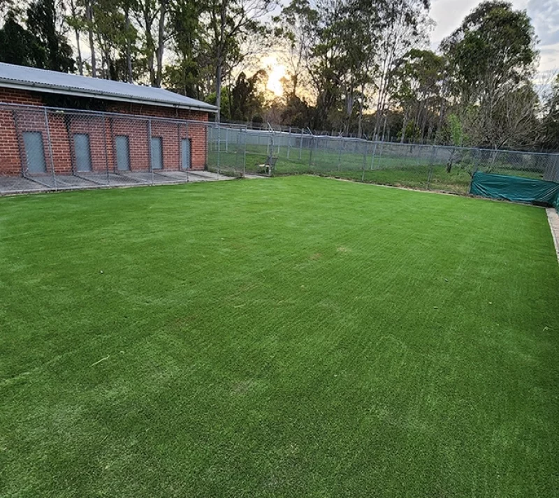 High-quality artificial grass Barangaroo High quality artificial grass Barangaroo