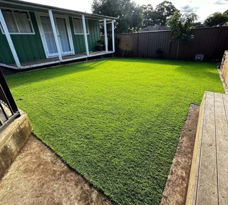 Artificial Turf Installation Haberfield